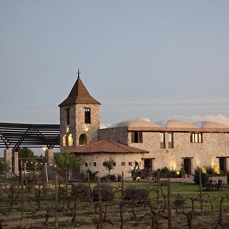 Hotel De Tierra Vinedo Y Spa - Aeropuerto Queretaro Purisima de Cubos Экстерьер фото