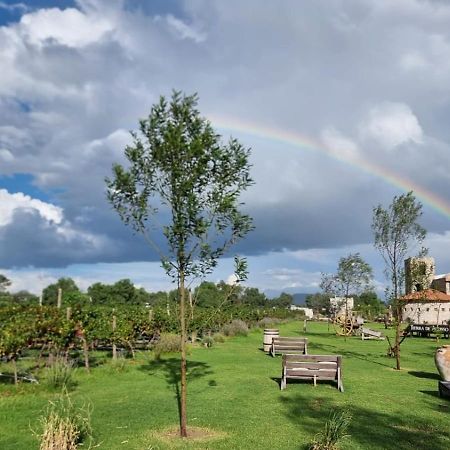 Hotel De Tierra Vinedo Y Spa - Aeropuerto Queretaro Purisima de Cubos Экстерьер фото