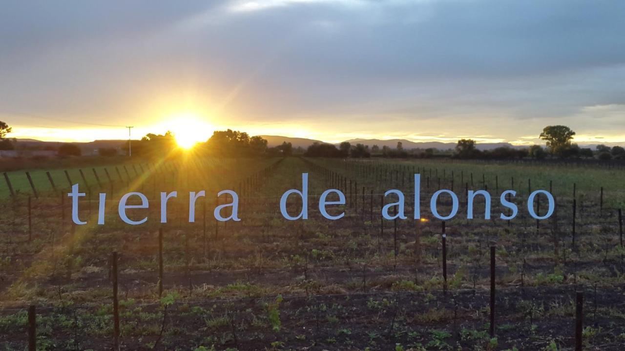 Hotel De Tierra Vinedo Y Spa - Aeropuerto Queretaro Purisima de Cubos Экстерьер фото