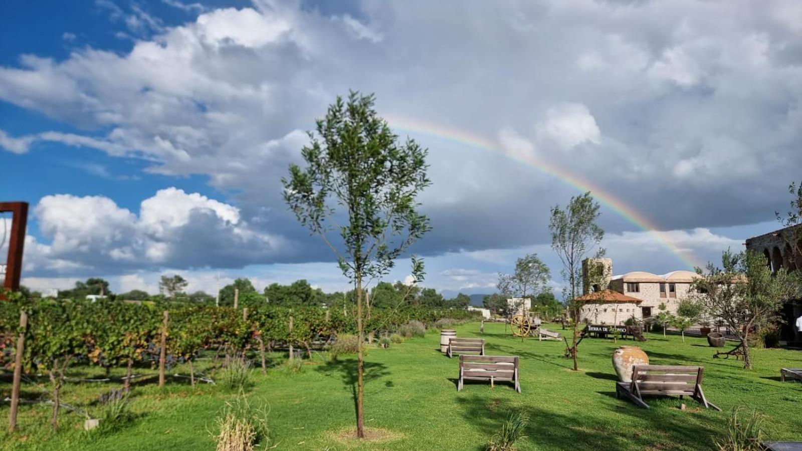 Hotel De Tierra Vinedo Y Spa - Aeropuerto Queretaro Purisima de Cubos Экстерьер фото